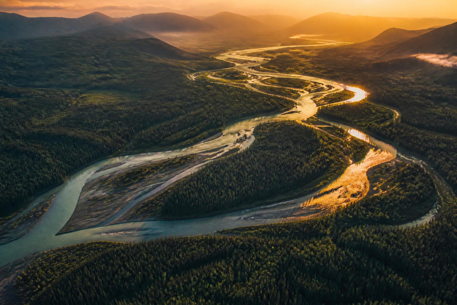 Aerial view of the Yukon River braiding through boreal forest at golden hour